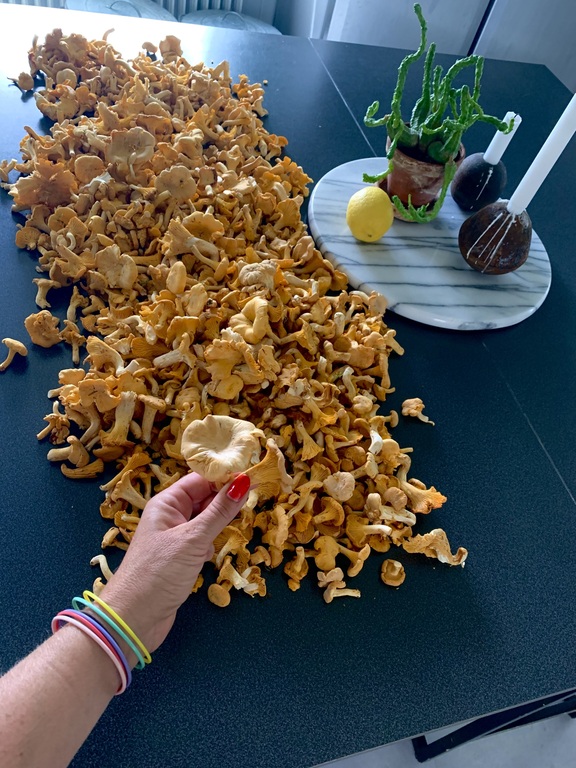 Lots of mushrooms to pick in the forest which is a public area where everyone can visit.