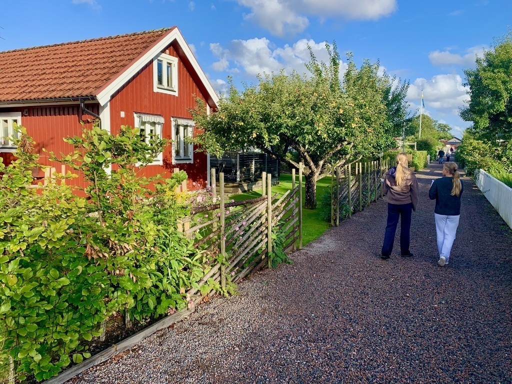Idyllic cottage area by the sea, 5 min walk from our home.