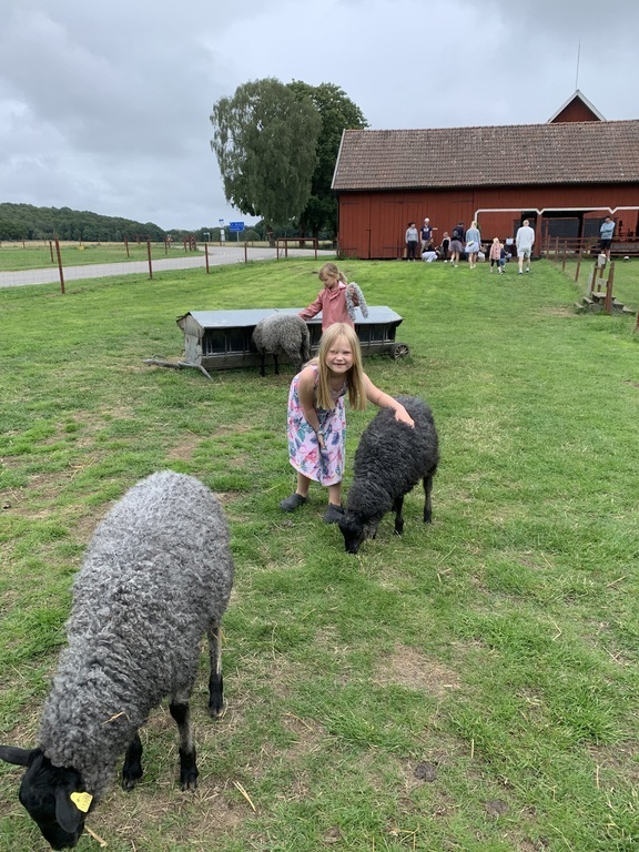 Sheap farm, 30 min by car in Österöö 