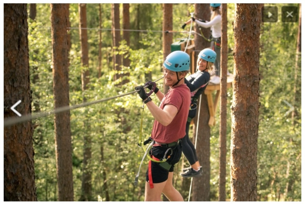 Tree climbing in Halmstad "Galgberget"