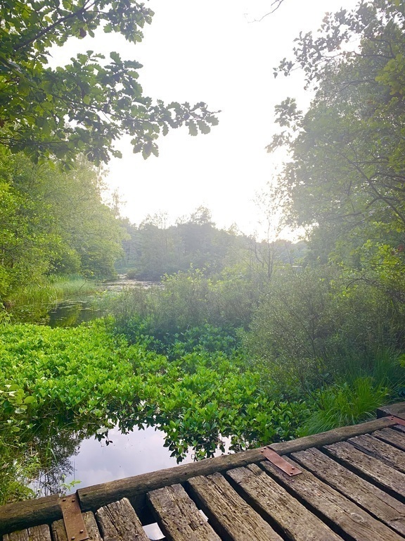 Lake Tofta which is 15 minutes drive from us to swim in or take a walk around the lake.