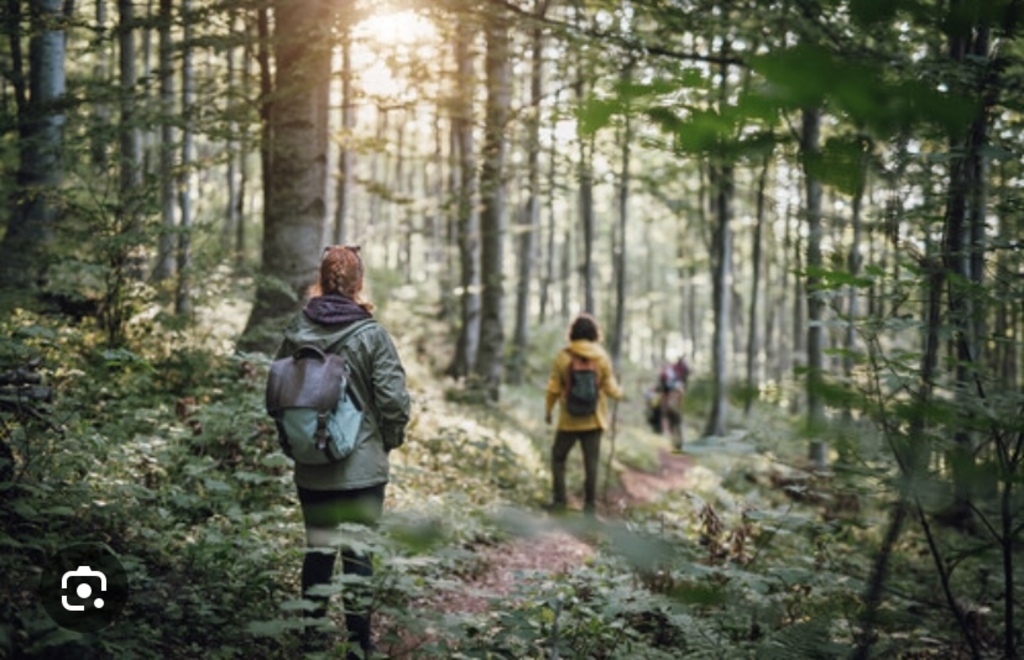 Public and free nature for everyone to use, hiking, camping, cykling. Kattegattleden- the trail is 390km. 