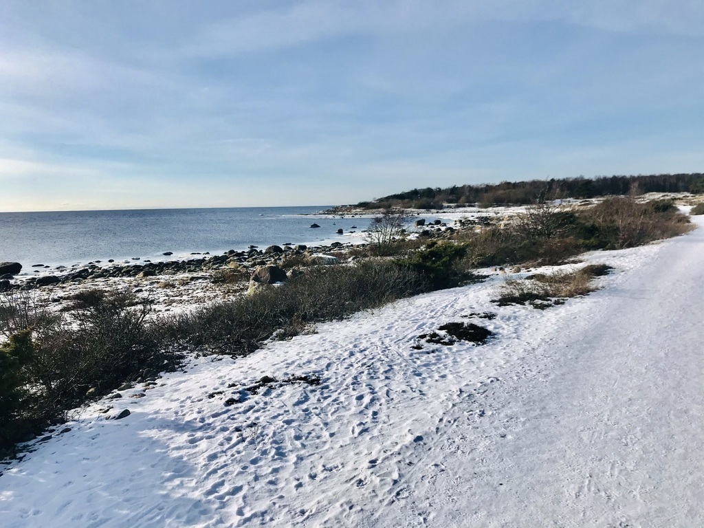 Winter walks bye the sea near our house