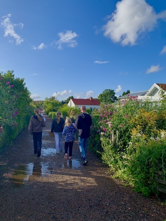 Idyllic cottage area by the sea, 5 min walk from our home.