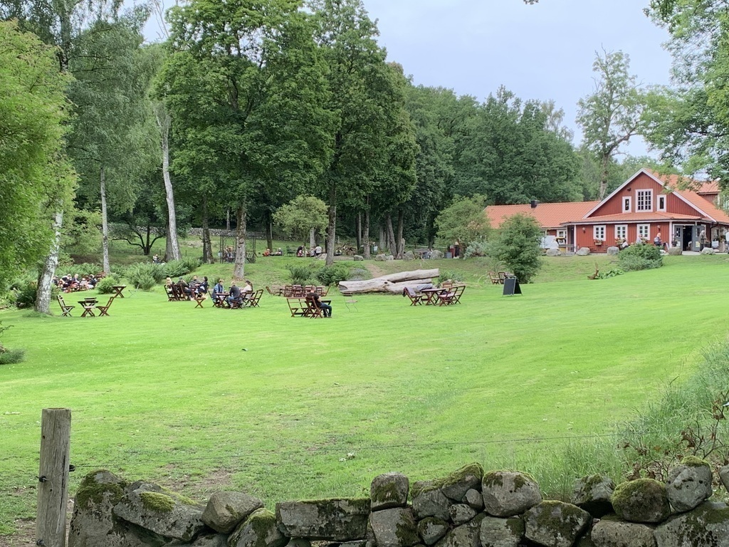 idyllic cafe by forest and nature