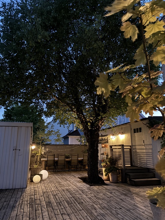 Backyard by night