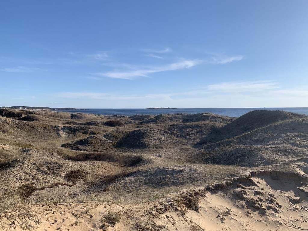 sand dunes in Halmstad