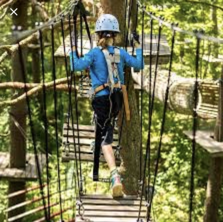 Treeclimbing, 10 min walk from our house, Galgberget