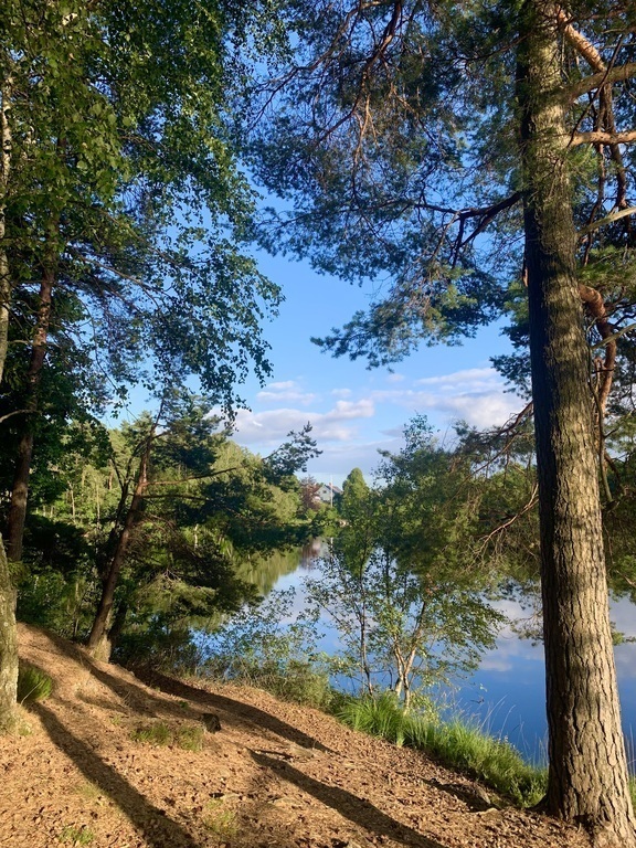 Public and free nature for everyone to use, hiking, camping