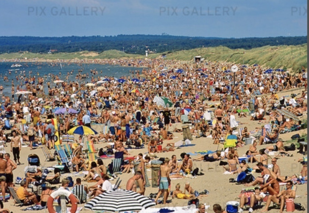 Tylösand, one of the most popular beach in Sweden, 15 min cykling from us.