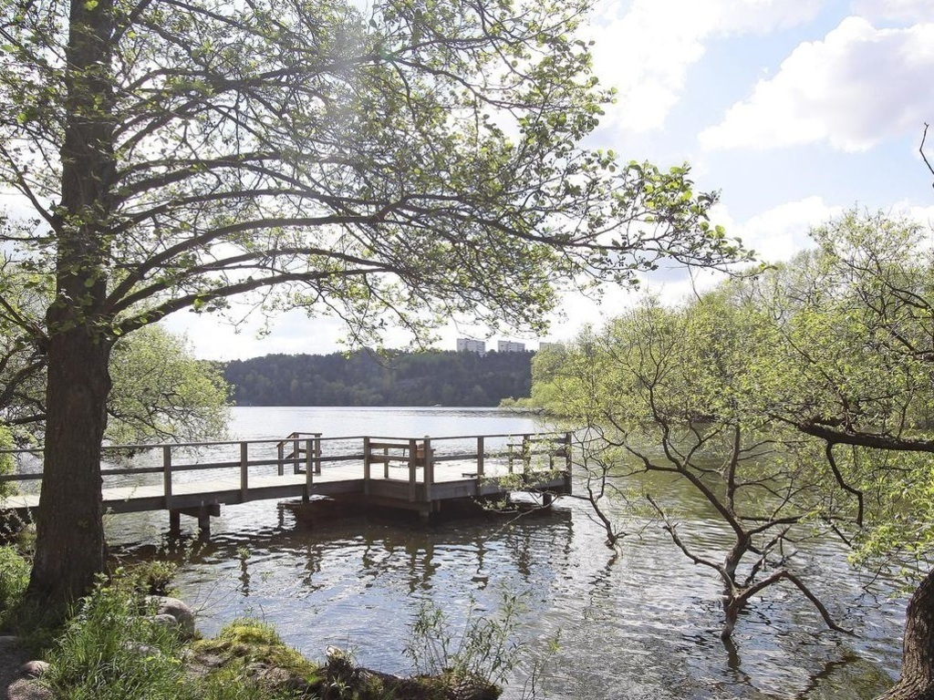Jetty with a swim ladder, just below our house