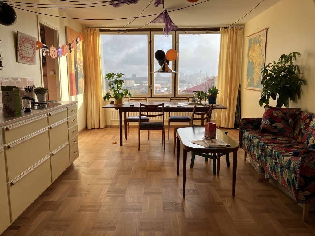 Kichen/living room, spacious, table for 8p.