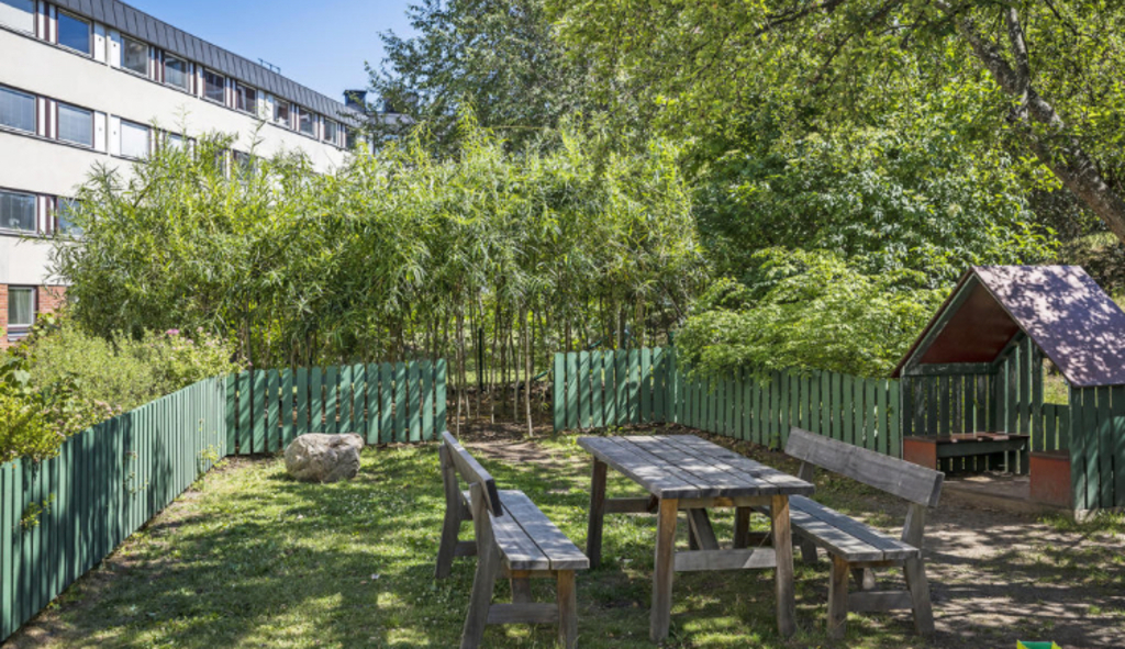 Backyard w playground, tables and BBCs