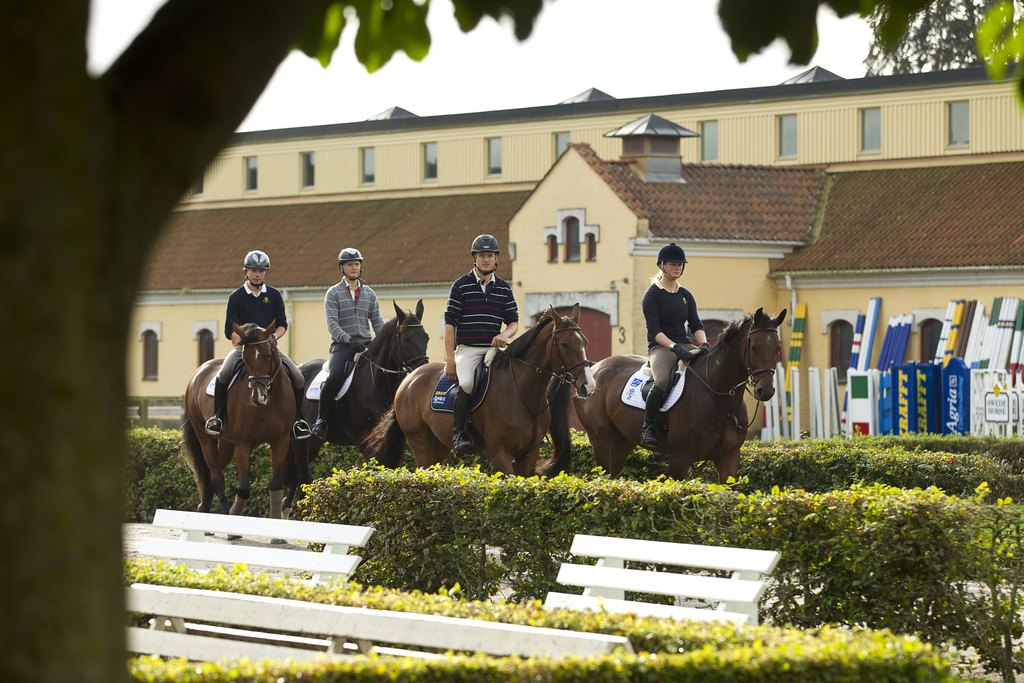 Flyinge, national equestrian centre (12 km). Stables are open for visitors.