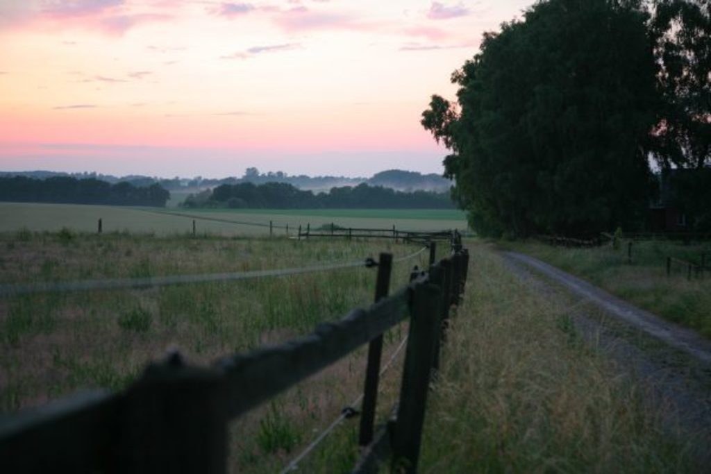 Beautiful scenery within walking distance (500m)