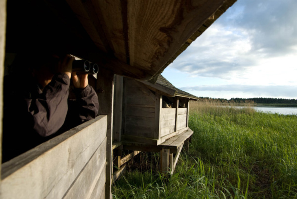 Krankesjön is one of Sweden's best birdlakes (6km)