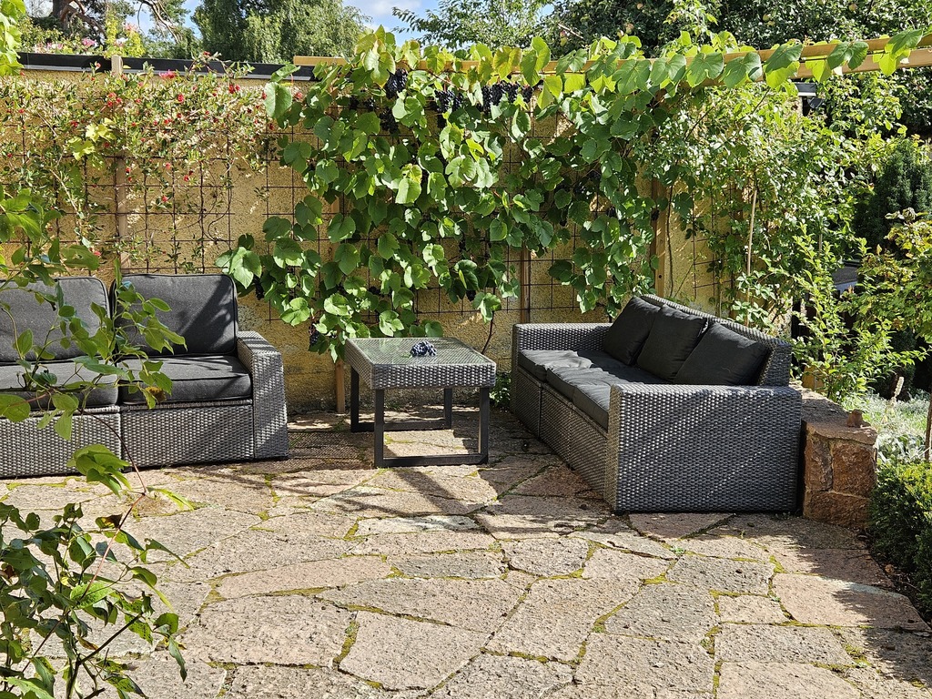 Patio, the front side of the garden