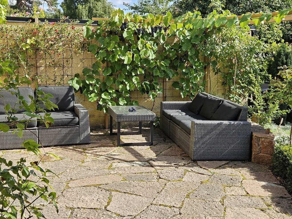 Patio, the front side of the garden