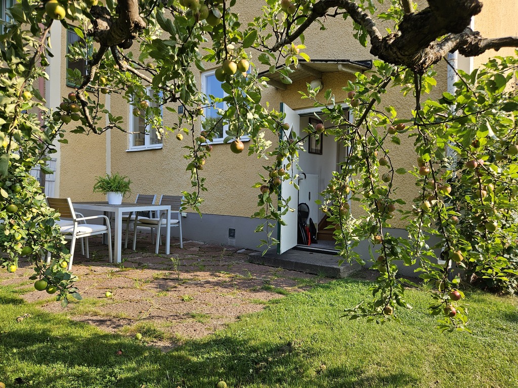 Patio, the back side of the garden (more shadow)