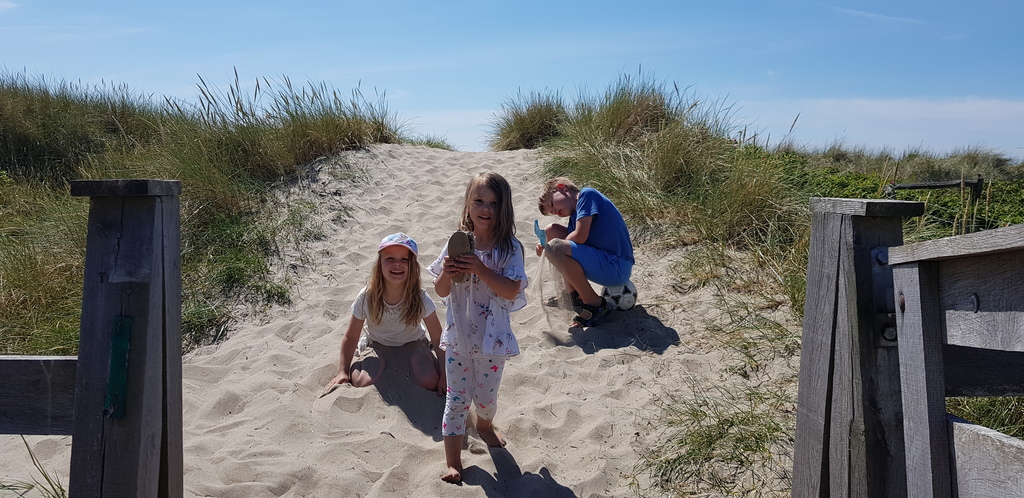 West coast of Sweden in 2018 (2nd)