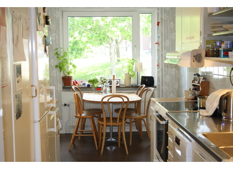 View from the kitchen