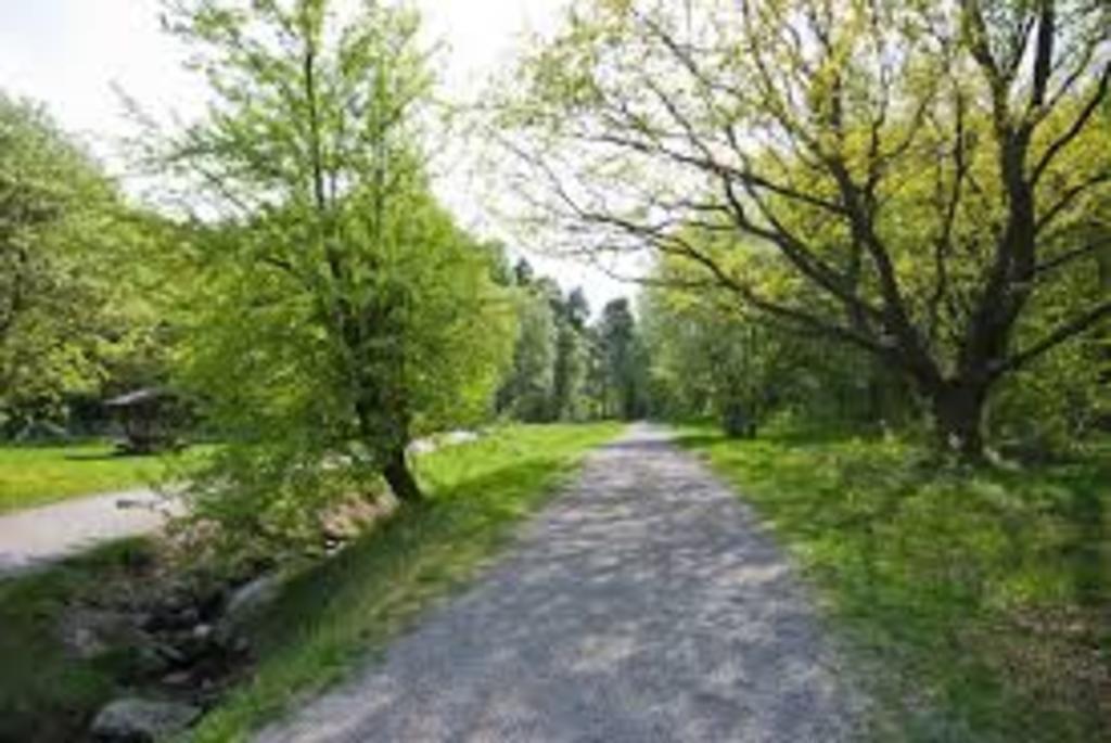 Lill-Jan's Forest in summer (10 min. walk)