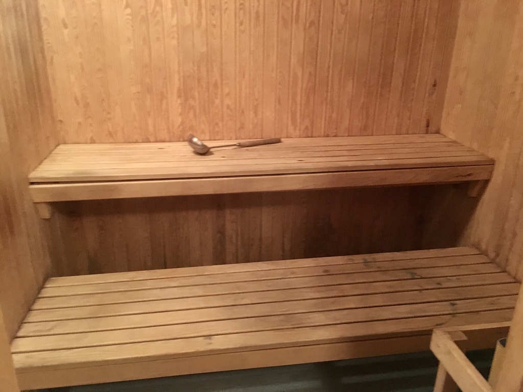 Sauna/ basement