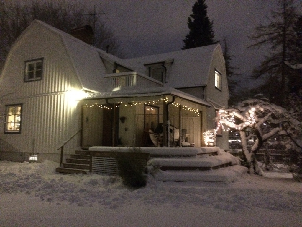 Winter view from the garden