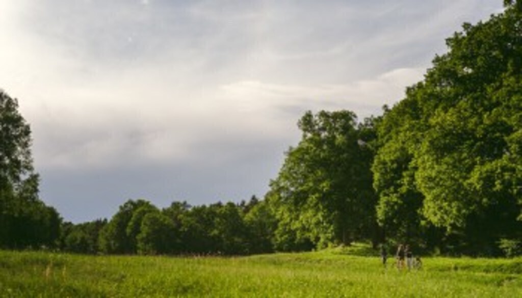 Nackareservatet nature reserve 