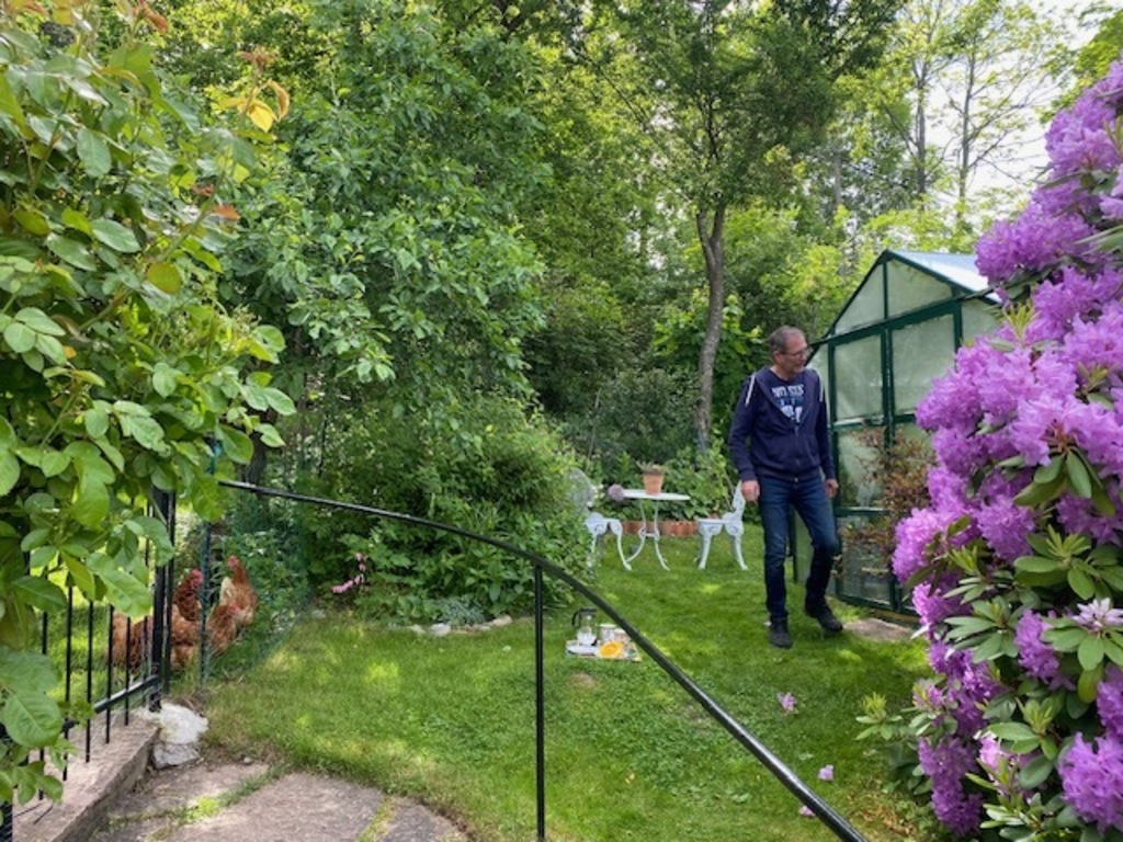 Part of the garden. Sometimes we keep chicken/hens,