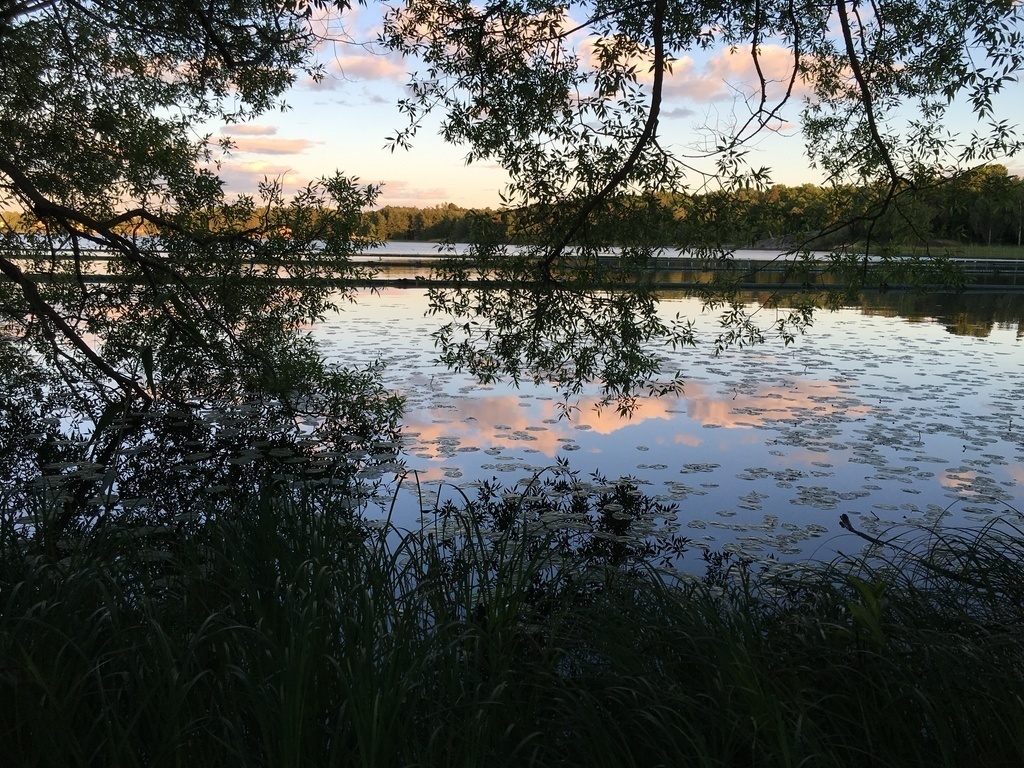 Have a stroll, biketour or take a jog along the lake Drevviken, 5 minutes walk from our home
