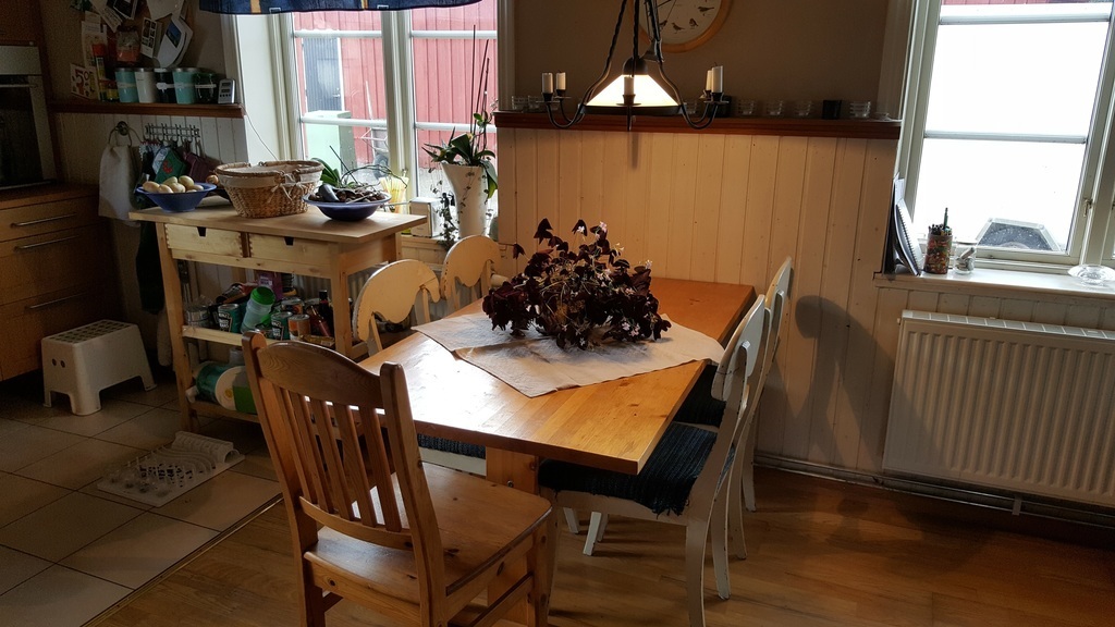 Kitchen table