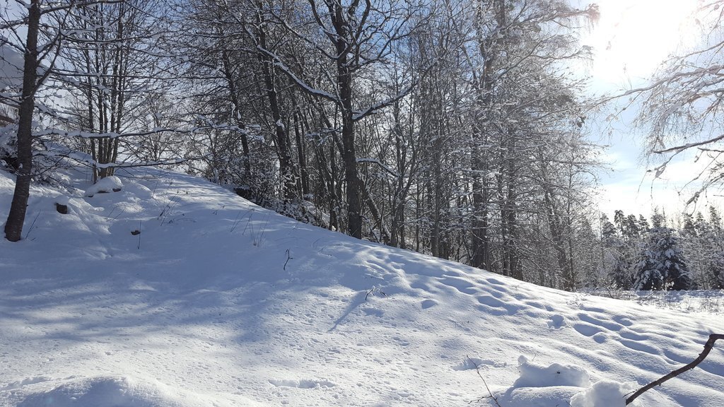 We have built a sledding slope
