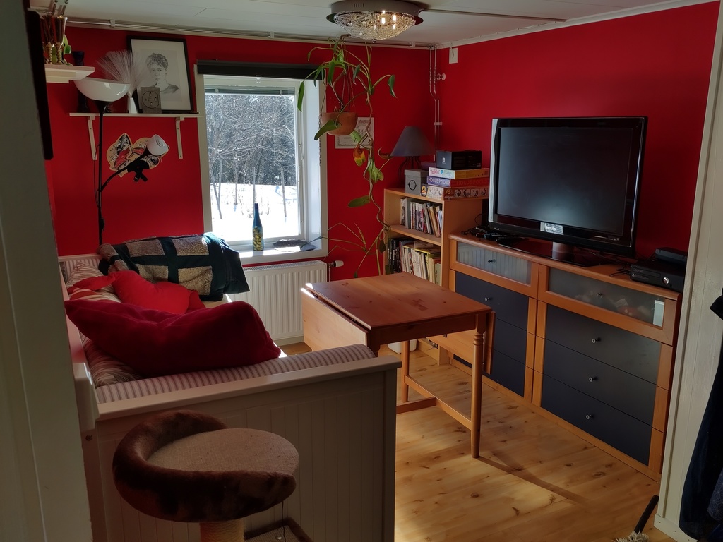 Sofa bed and TV in the guesthouse