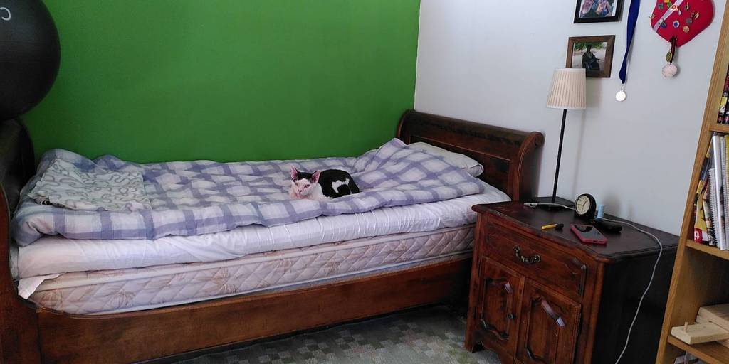 Bed in the gueshouse