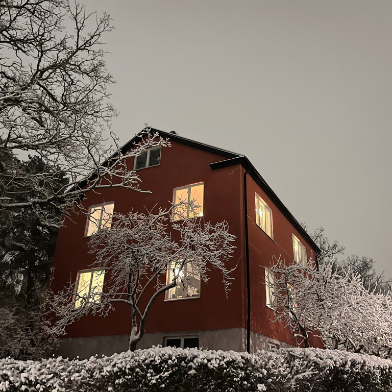 The house: House from the other side. (in winter)