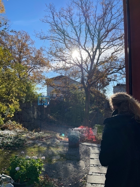 The house: Garden towards morning sun