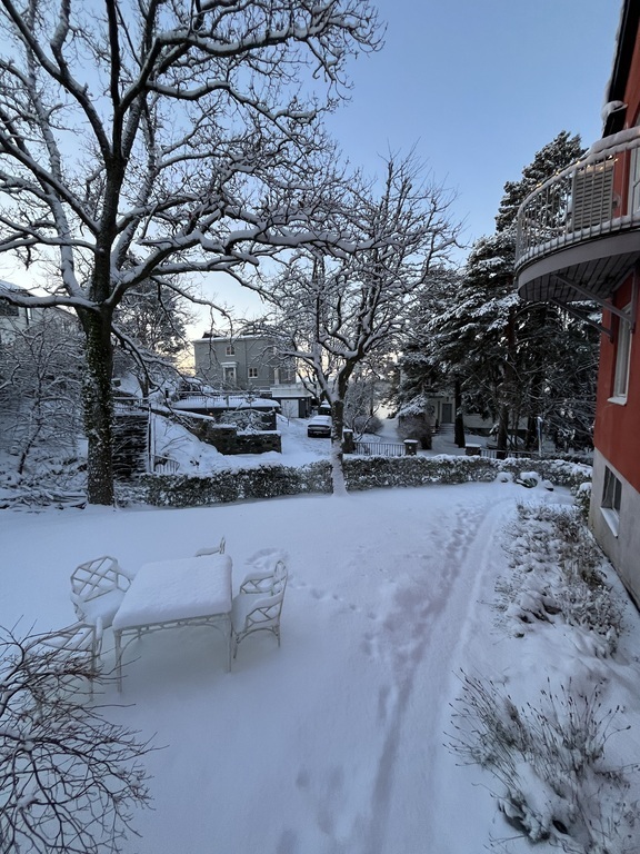 The house: Winter image of part of garden