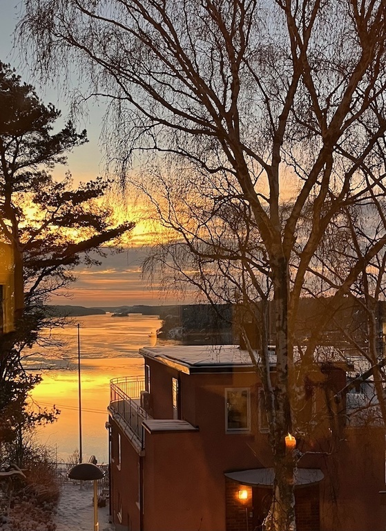 The neighbourhood: Sunset view in winter