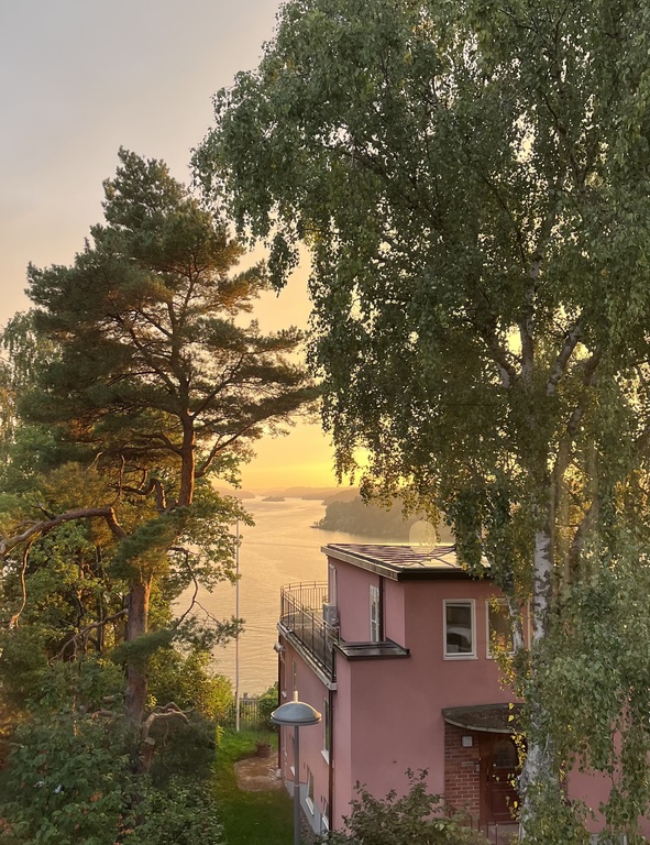 The house: View towards west from dinner table