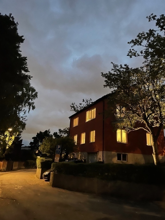 The house: House at night. Last house on an end-street. No traffic. Absolute silence