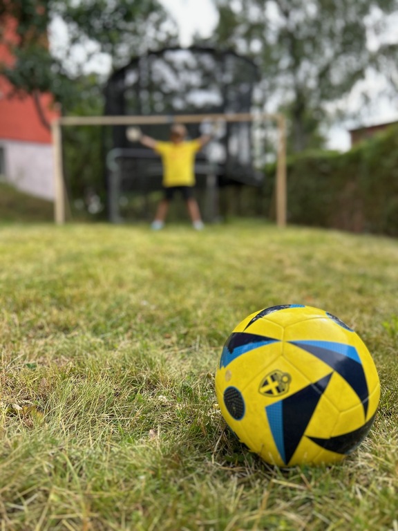 Outside: Garden with trampoline and football/soccer goal