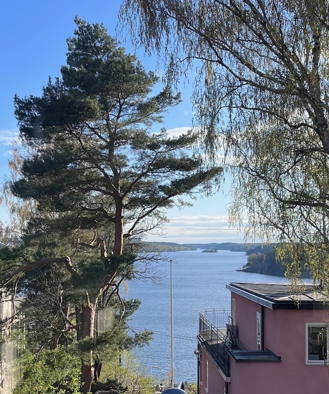 Main floor (second): View from dining area
