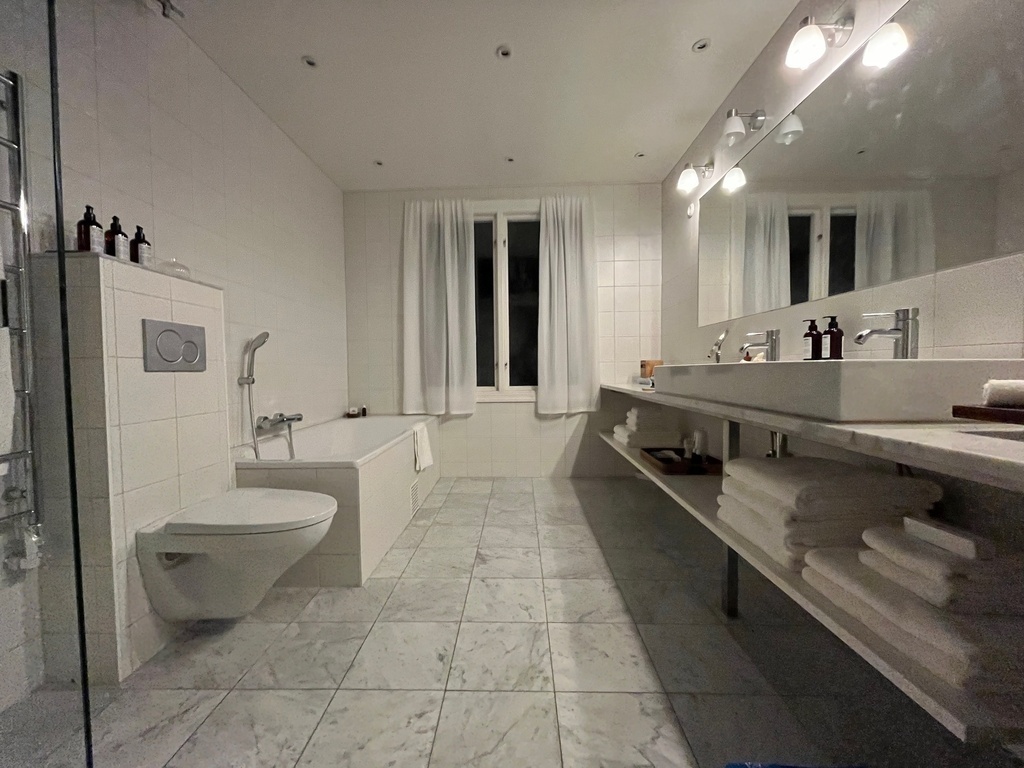 Master bathroom (one of four toilets, one of two showers)