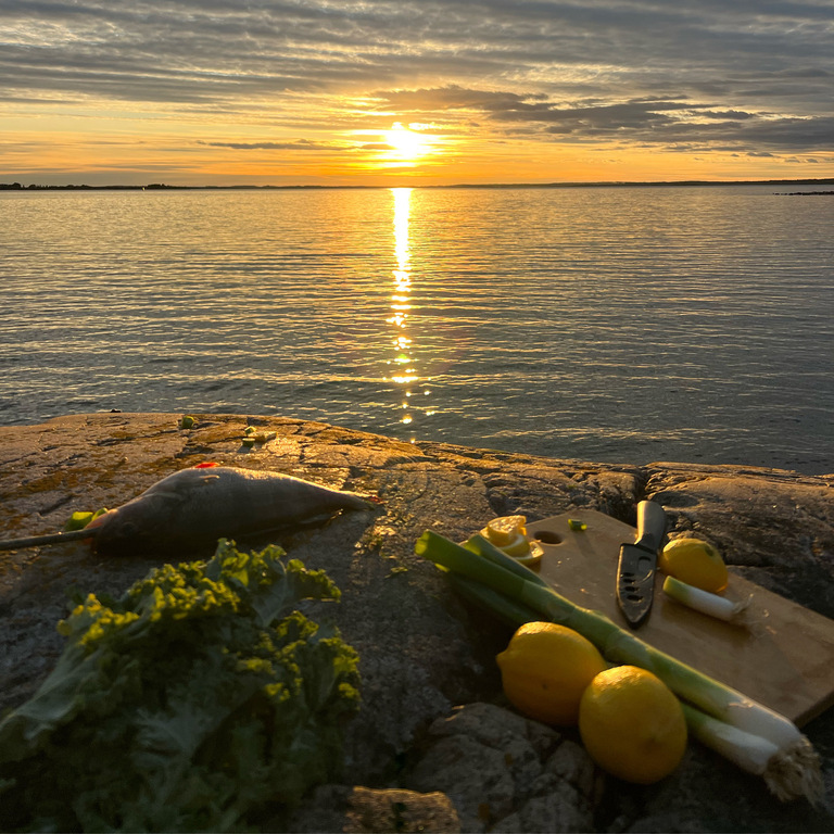 Dinner and camping out in the archipelago