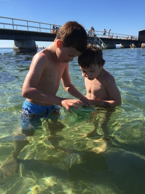 Our grandsons at "Ribban" (2015)