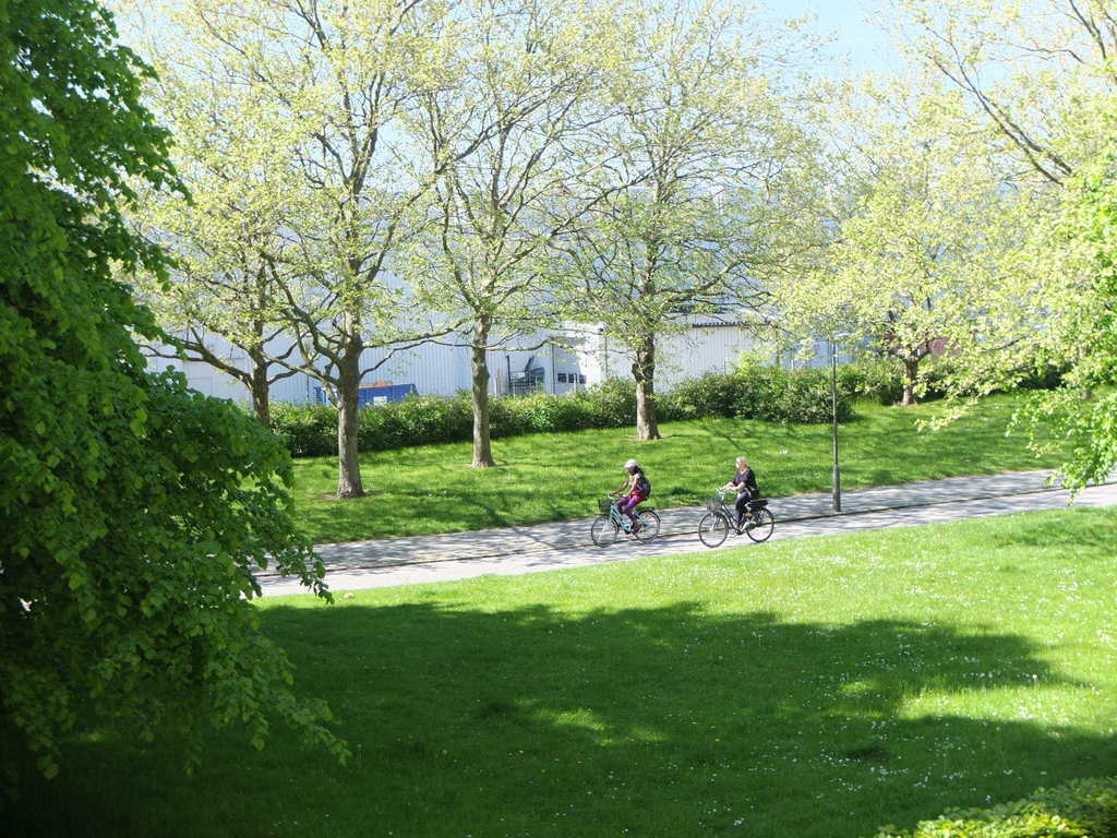 Cycle path in front of our house