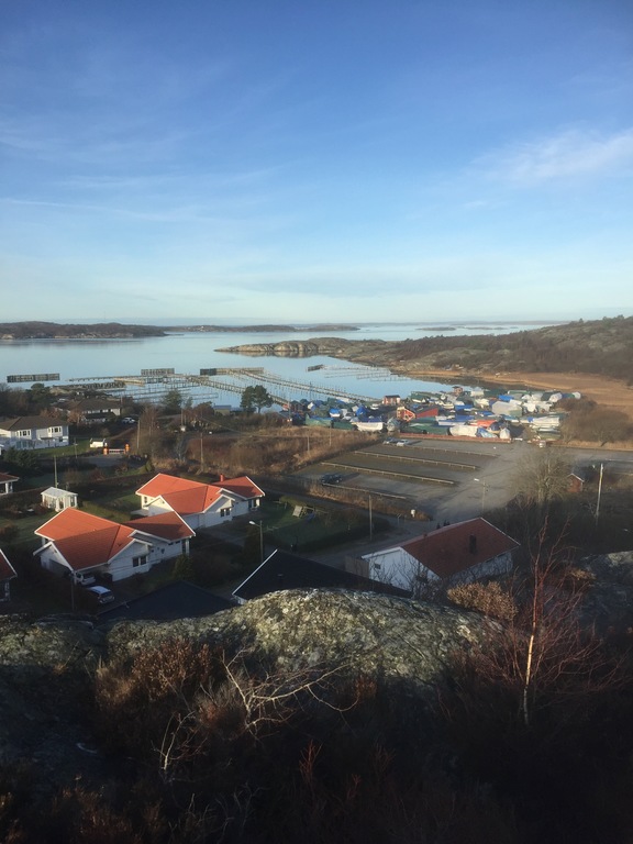 Our house on the left side