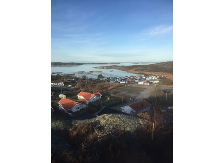 Our house on the left side