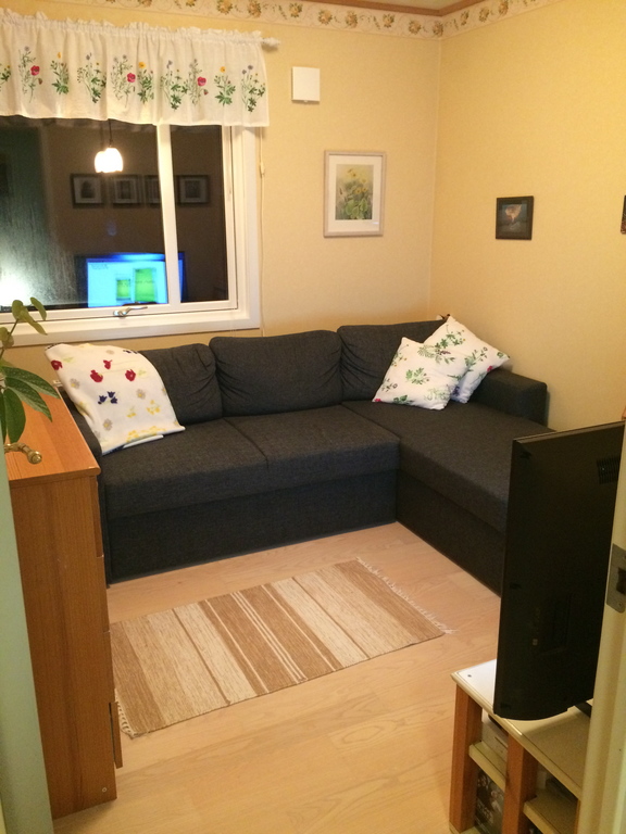 The guest room/TV room. (Two persons can sleep in the sofa bed (Bettcouch).